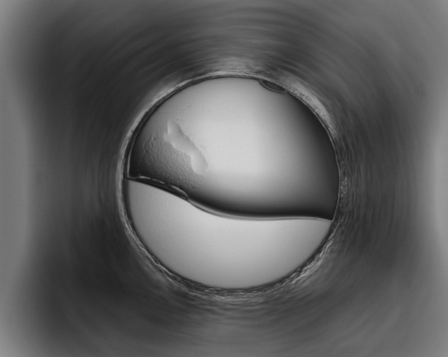 X0000093481146200710120950
