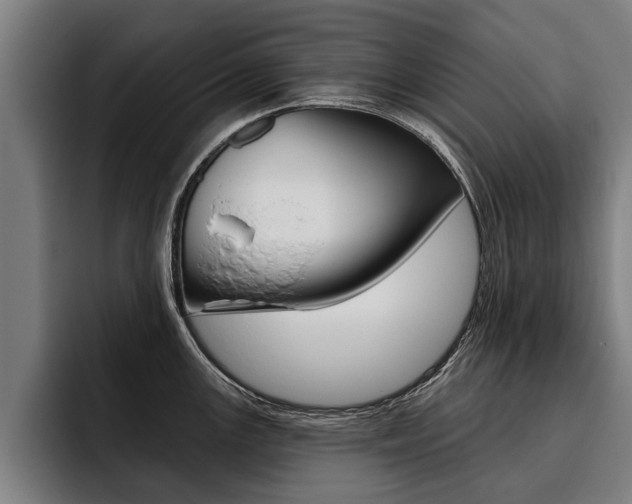 X0000093481147200710120950
