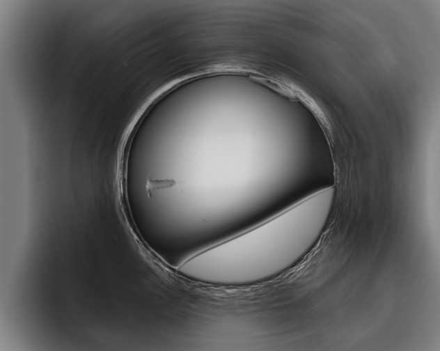 X0000093481148200710120950