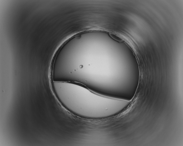 X0000093481149200710120950