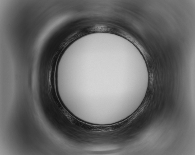 X0000093481150200710120950
