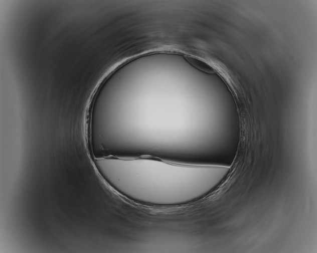 X0000093481151200710120950