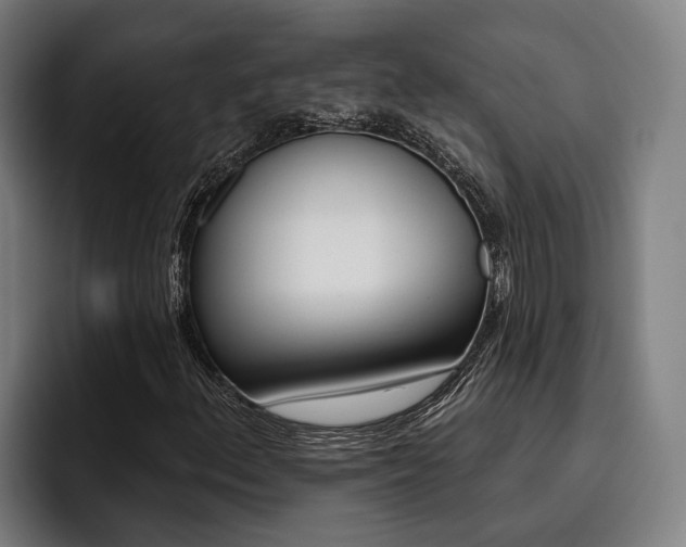 X0000093481156200710120949