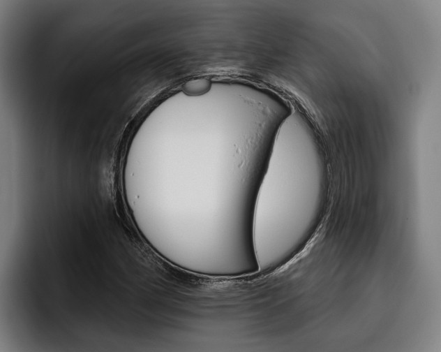 X0000093481162200710120949