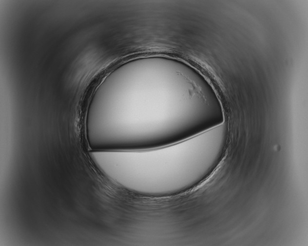 X0000093481163200710120949
