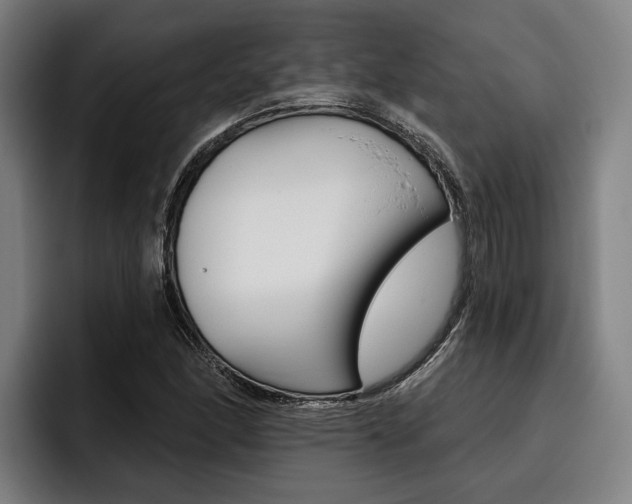 X0000093481166200710120949