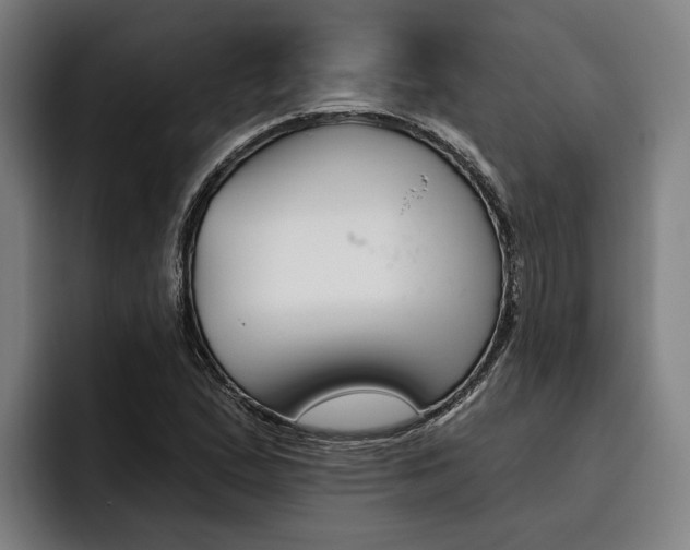 X0000093481167200710120949
