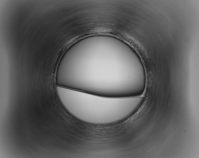 X0000093481169200710120949