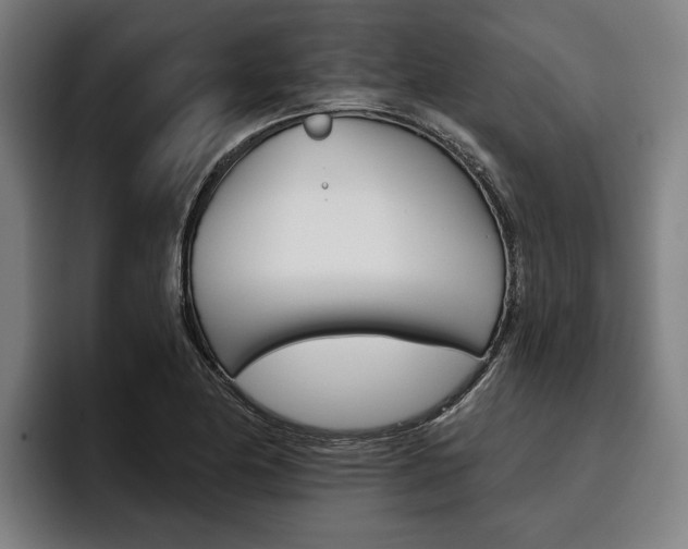 X0000093481174200710120949