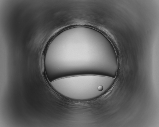 X0000093481175200710120949