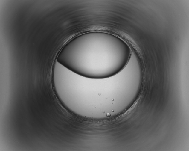X0000093481177200710120949