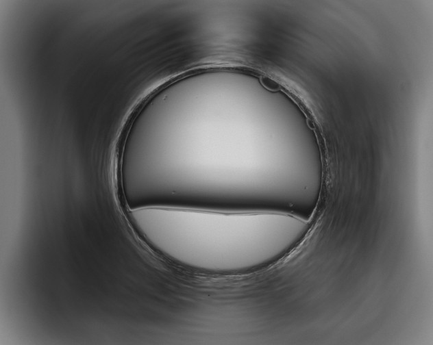 X0000093481179200710120949