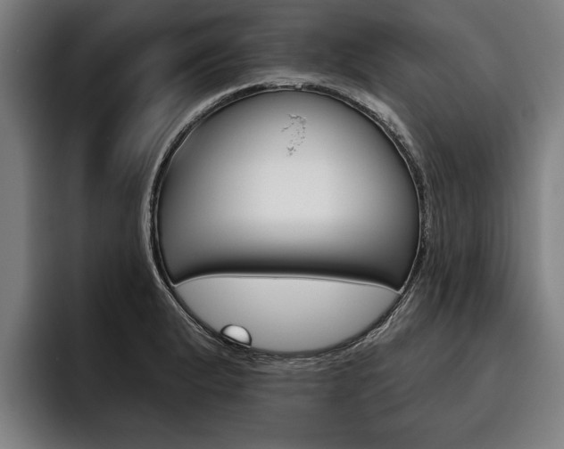 X0000093481183200710120949