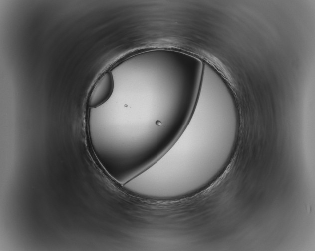 X0000093481184200710120949