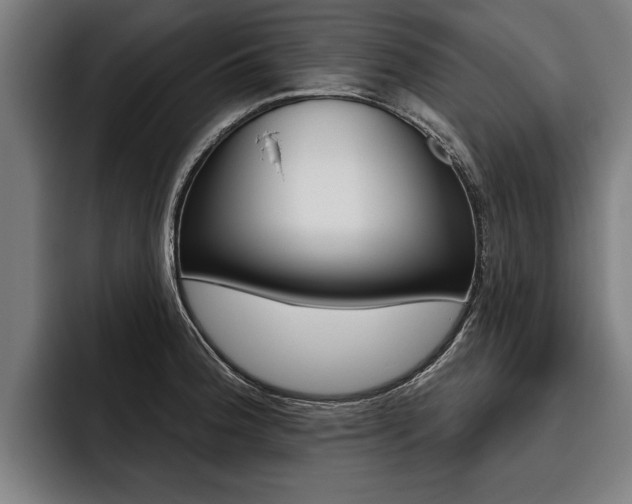 X0000093481188200710120949