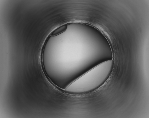 X0000093481189200710120949