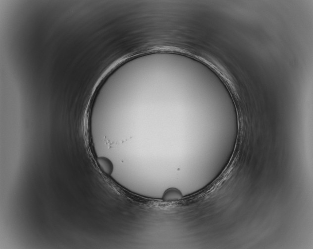 X0000093481198200710120949