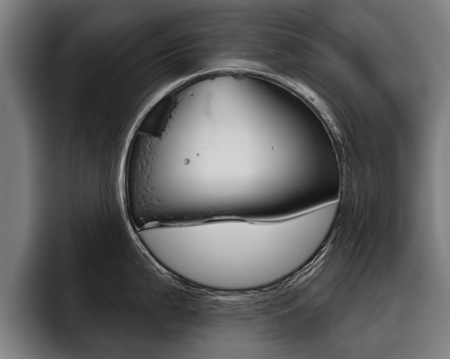 X0000093481199200710120949