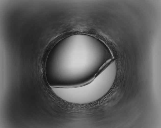 X0000093481206200710120948