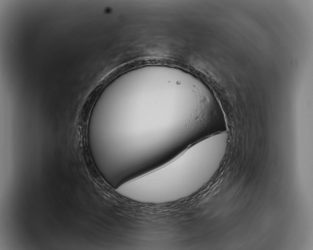 X0000093481208200710120948