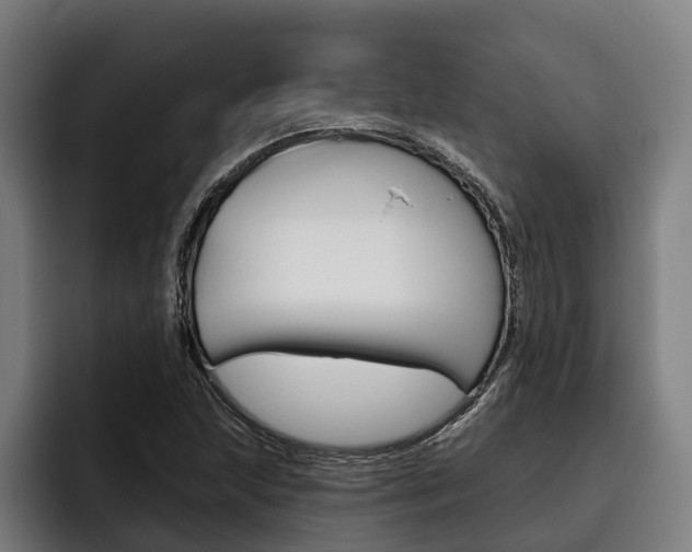 X0000093481215200710120948