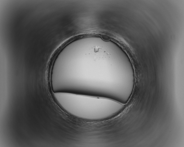 X0000093481216200710120948