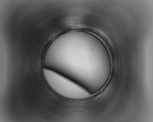 X0000093481217200710120948