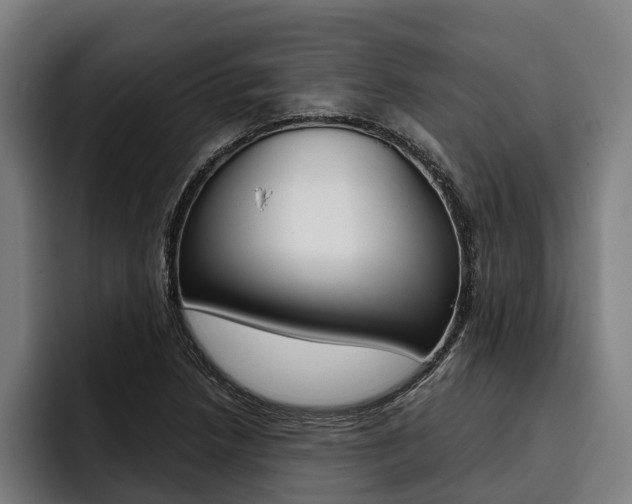 X0000093481218200710120948