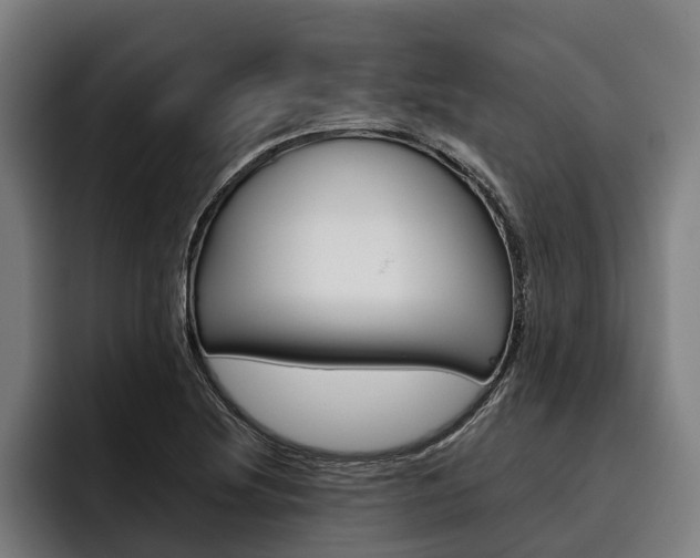 X0000093481220200710120948