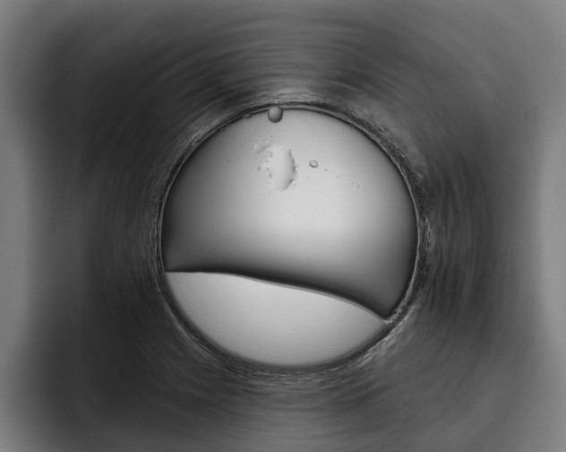 X0000093481225200710120948
