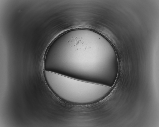 X0000093481228200710120948