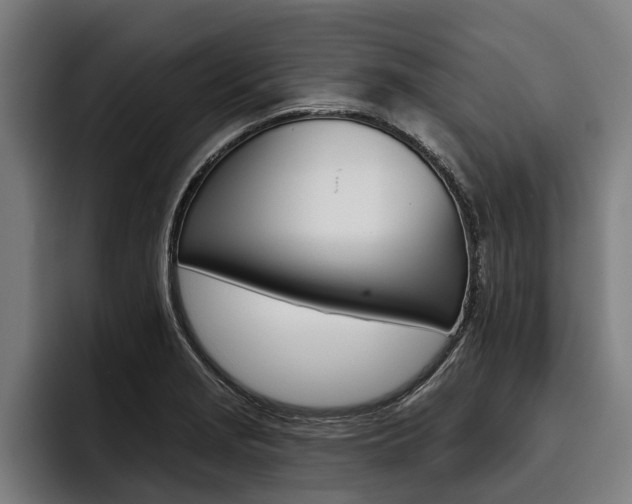 X0000093481229200710120948
