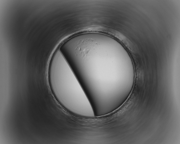 X0000093481232200710120948