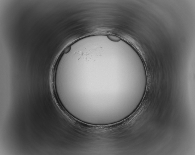 X0000093481235200710120948