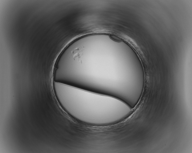 X0000093481236200710120949