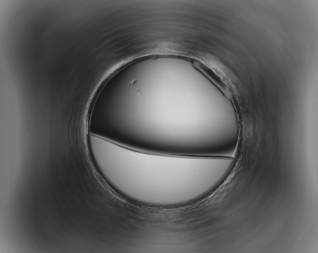 X0000093481238200710120949