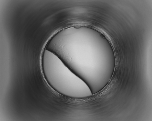 X0000093481243200710120949
