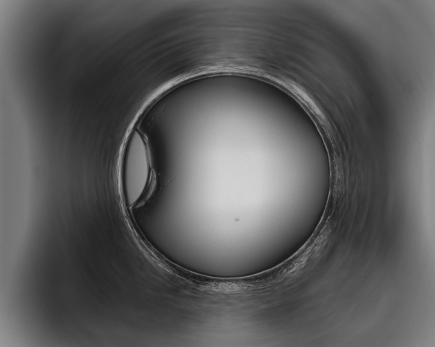 X0000093481246200710120949