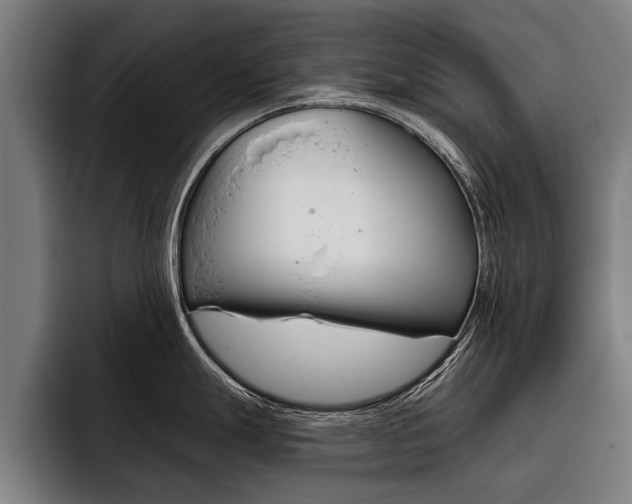 X0000093481247200710120949