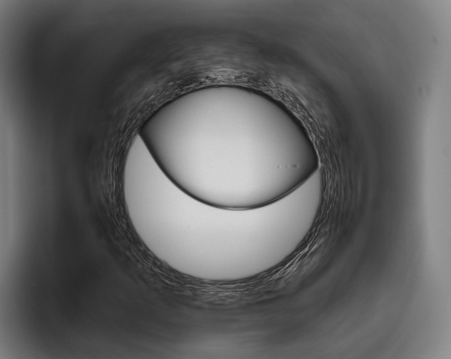 X0000093481253200710120948