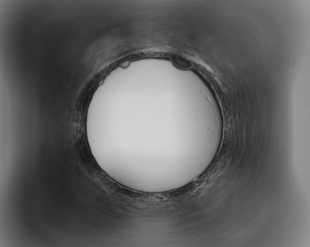 X0000093481255200710120948