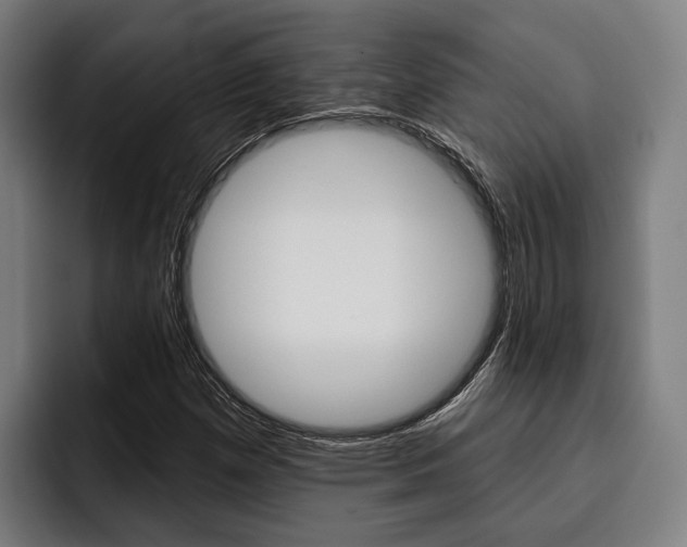 X0000093481257200710120948