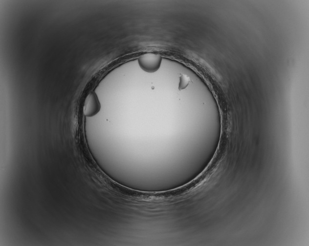 X0000093481261200710120948