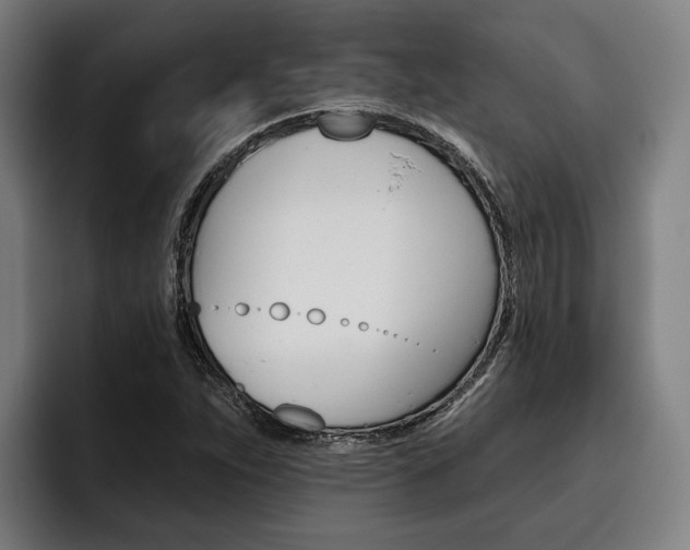 X0000093481263200710120948