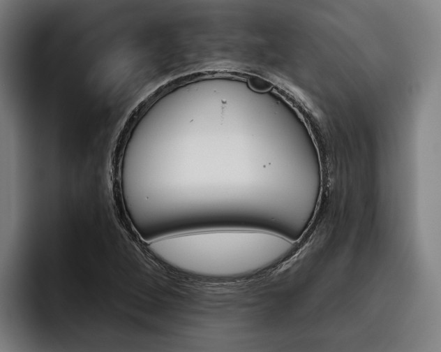 X0000093481264200710120948