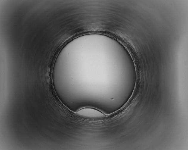X0000093481265200710120948