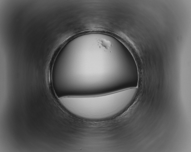 X0000093481269200710120948