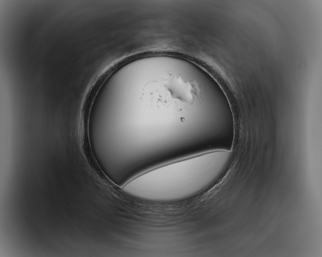 X0000093481270200710120948