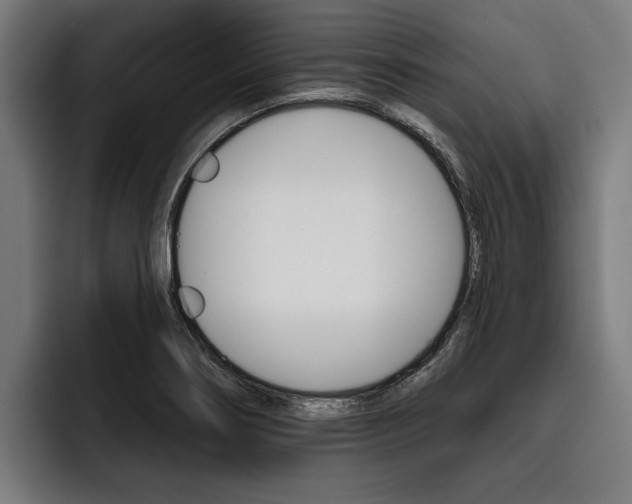 X0000093481274200710120948