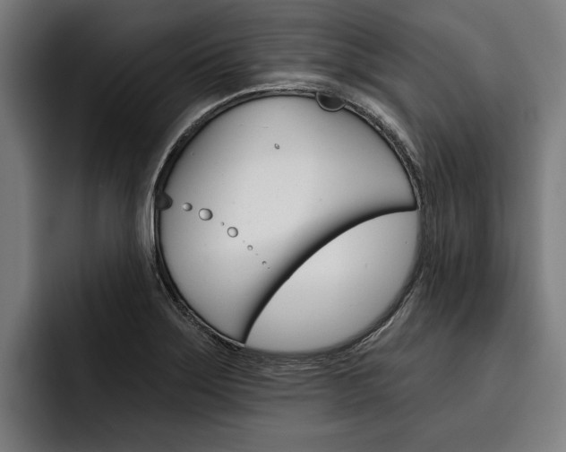 X0000093481275200710120948